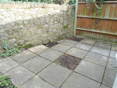 Picture 7